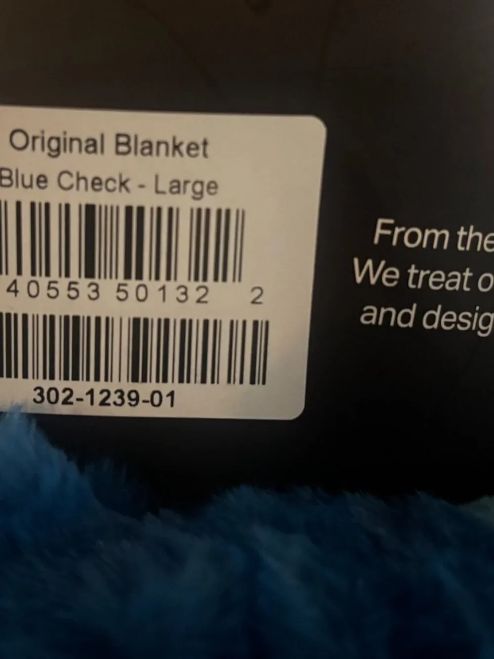 LOLA large blue-check blanket brand new